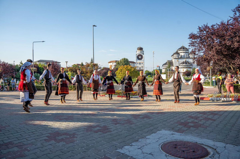 Festivalul Internațional de Folclor „Carpați”